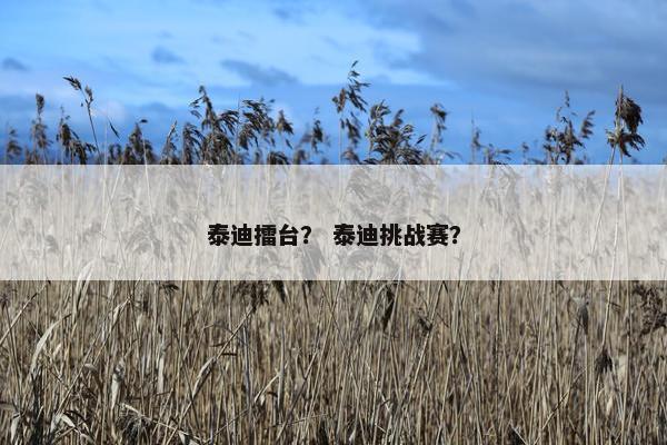 泰迪擂台? 泰迪挑战赛?