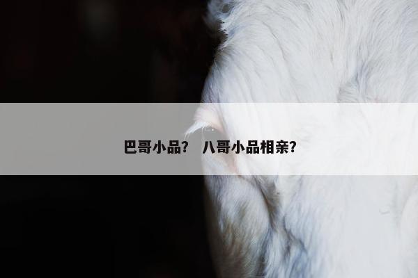 哈哈大笑