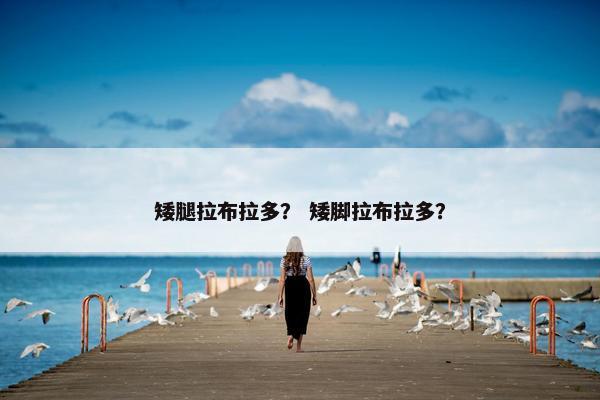 矮腿拉布拉多? 矮脚拉布拉多?