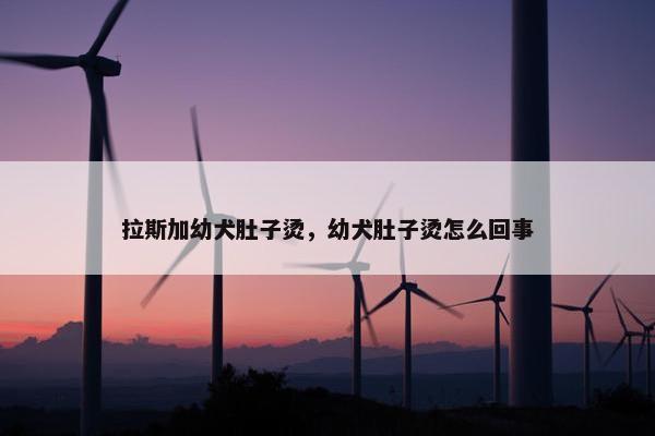 拉斯加幼犬肚子烫，幼犬肚子烫怎么回事