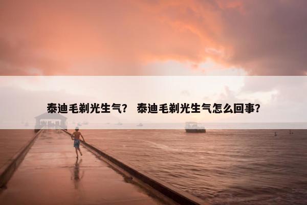 泰迪毛剃光生气? 泰迪毛剃光生气怎么回事?