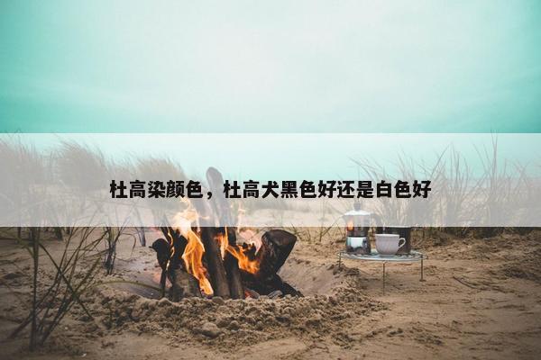 杜高染颜色,杜高犬黑色好还是白色好