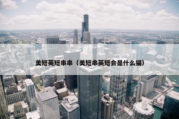美短英短串串（美短串英短会是什么猫）