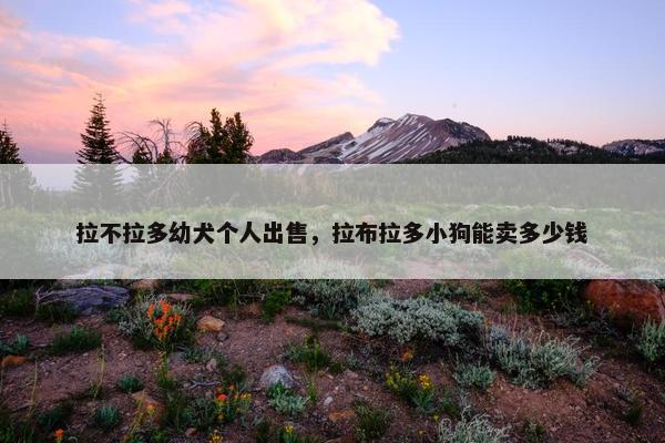 拉不拉多幼犬个人出售，拉布拉多小狗能卖多少钱