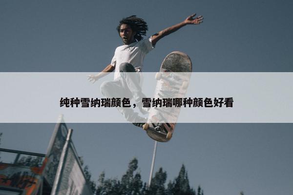 纯种雪纳瑞颜色,雪纳瑞哪种颜色好看