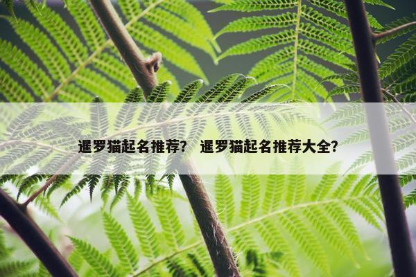 暹罗猫起名推荐？ 暹罗猫起名推荐大全？