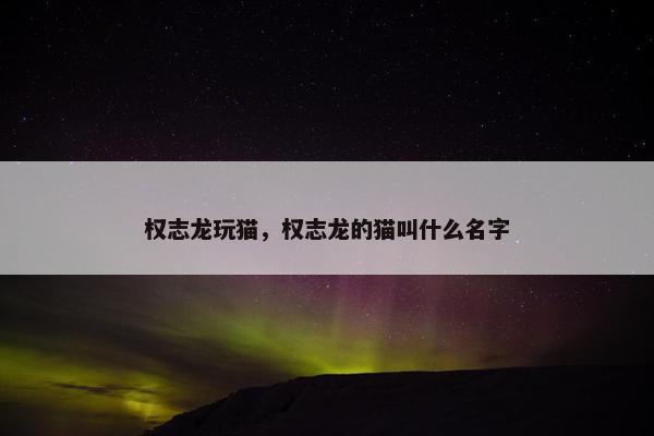 权志龙玩猫,权志龙的猫叫什么名字