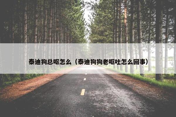 泰迪狗总呕怎么(泰迪狗狗老呕吐怎么回事)