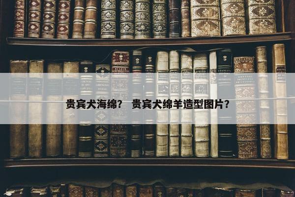 贵宾犬海绵？ 贵宾犬绵羊造型图片？