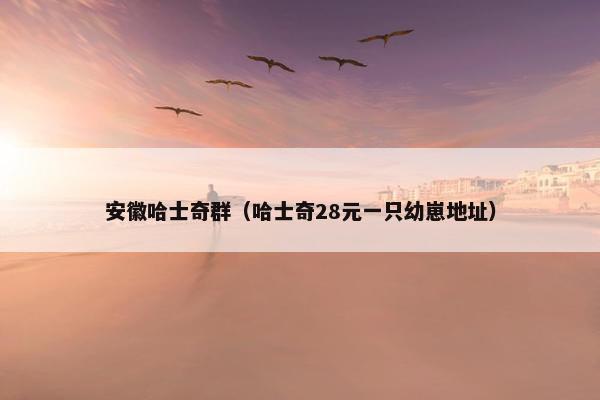 安徽哈士奇群(哈士奇28元一只幼崽地址)