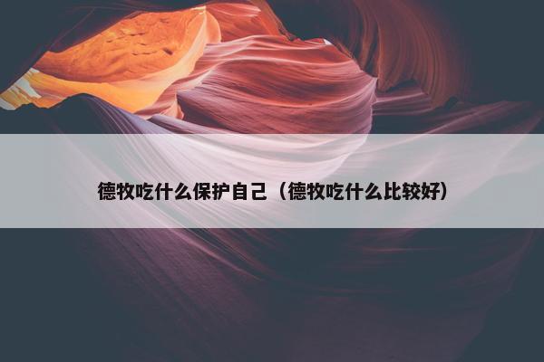 德牧吃什么保护自己（德牧吃什么比较好）