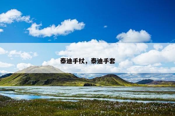 泰迪手杖，泰迪手套