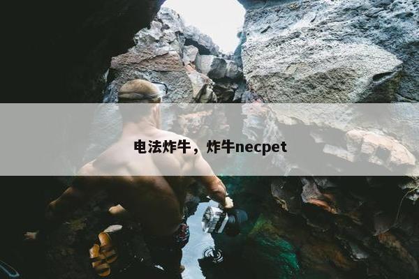 电法炸牛，炸牛necpet