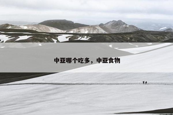 中亚哪个吃多，中亚食物