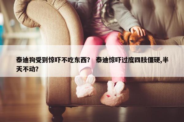 泰迪狗受到惊吓不吃东西？ 泰迪惊吓过度四肢僵硬,半天不动？
