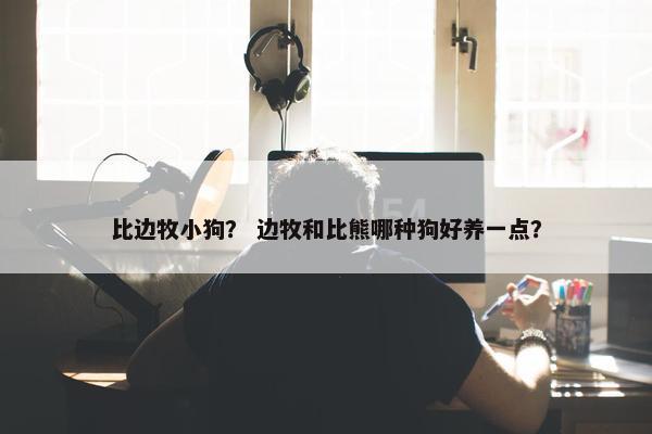 比边牧小狗？ 边牧和比熊哪种狗好养一点？