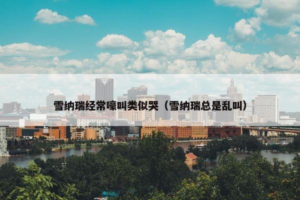 雪纳瑞经常嚎叫类似哭(雪纳瑞总是乱叫)