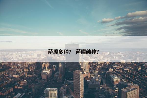 萨摩多种？ 萨摩纯种？