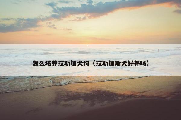 怎么培养拉斯加犬狗（拉斯加斯犬好养吗）