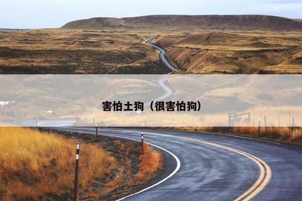 害怕土狗（很害怕狗）