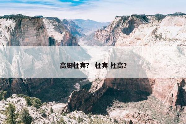 杜宾 第30页