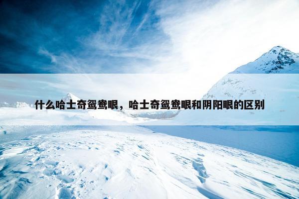 什么哈士奇鸳鸯眼，哈士奇鸳鸯眼和阴阳眼的区别