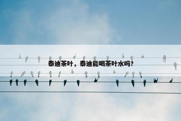 泰迪茶叶,泰迪能喝茶叶水吗?