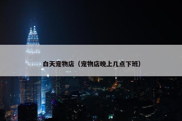 白天宠物店(宠物店晚上几点下班)