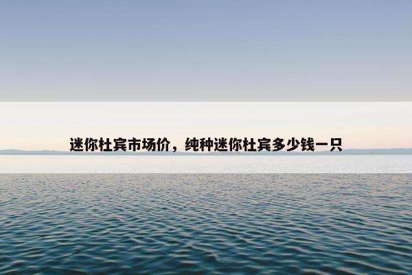 迷你杜宾市场价，纯种迷你杜宾多少钱一只
