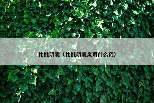 比熊阴囊（比熊阴囊炎用什么药）
