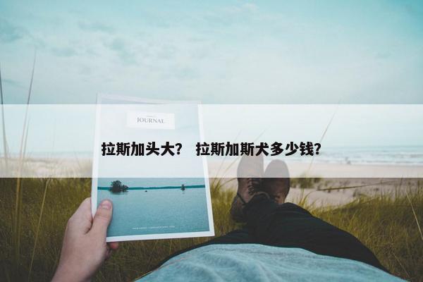 拉斯加头大？ 拉斯加斯犬多少钱？