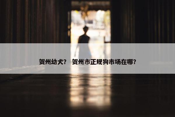 贺州幼犬? 贺州市正规狗市场在哪?