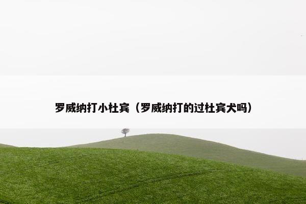 罗威纳打小杜宾(罗威纳打的过杜宾犬吗)