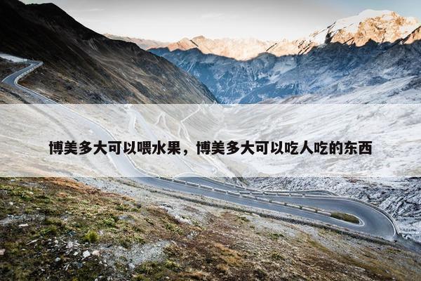 博美多大可以喂水果,博美多大可以吃人吃的东西