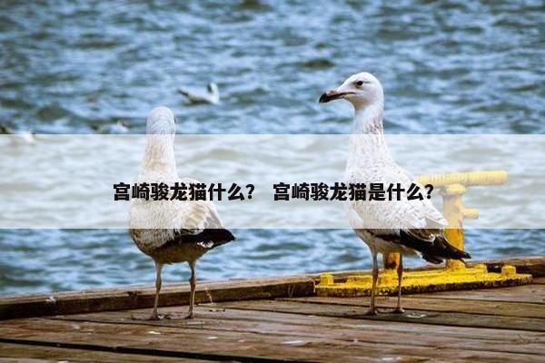 宫崎骏龙猫什么？ 宫崎骏龙猫是什么？