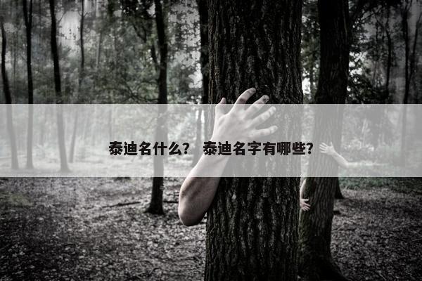 泰迪名什么？ 泰迪名字有哪些？