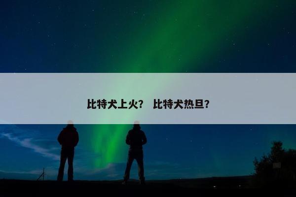 比特犬上火？ 比特犬热旦？