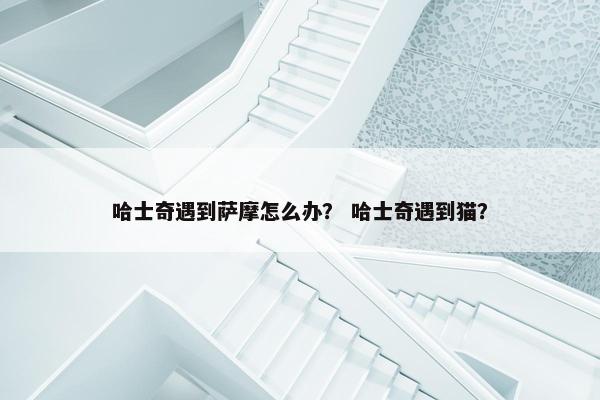 哈士奇遇到萨摩怎么办？ 哈士奇遇到猫？