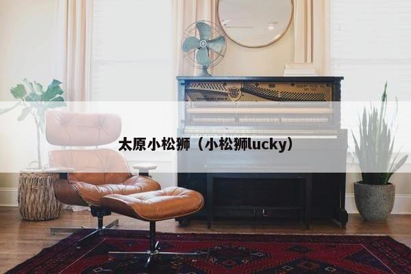 太原小松狮（小松狮lucky）