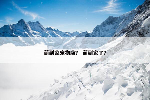 萌到家宠物店？ 萌到家了？