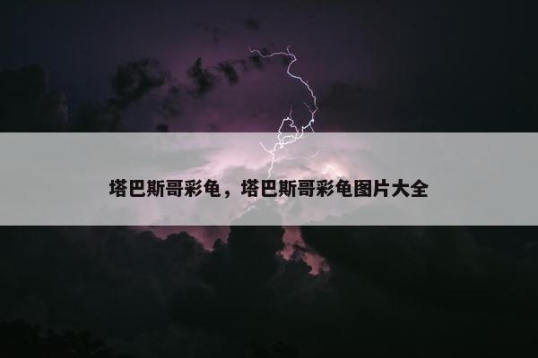 塔巴斯哥彩龟,塔巴斯哥彩龟图片大全