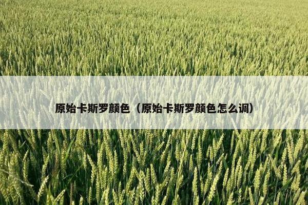 原始卡斯罗颜色(原始卡斯罗颜色怎么调)