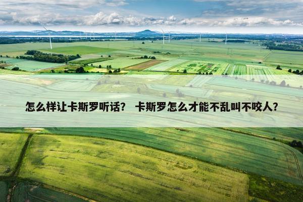 怎么样让卡斯罗听话? 卡斯罗怎么才能不乱叫不咬人?