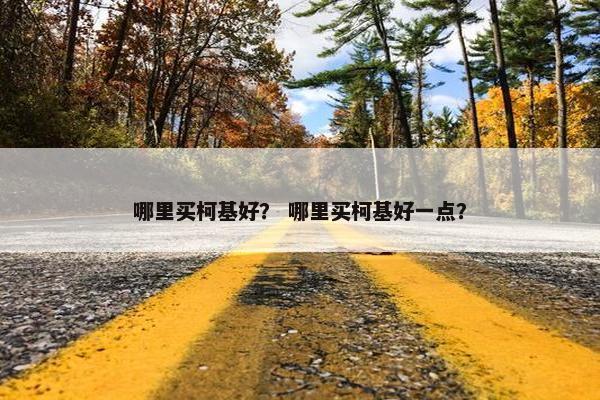 哪里买柯基好？ 哪里买柯基好一点？