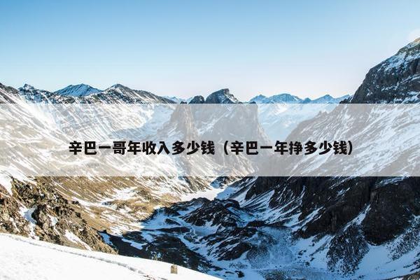 辛巴一哥年收入多少钱（辛巴一年挣多少钱）