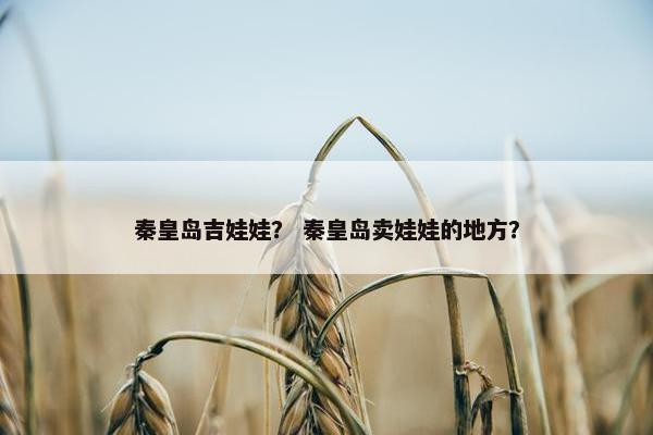 秦皇岛吉娃娃？ 秦皇岛卖娃娃的地方？