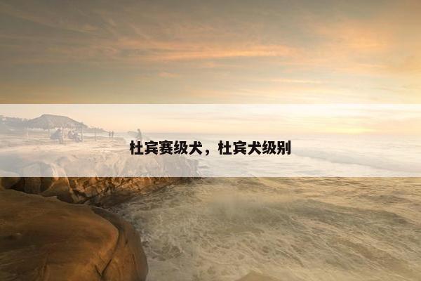 杜宾赛级犬，杜宾犬级别