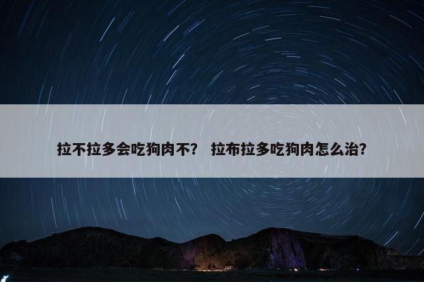 拉不拉多会吃狗肉不? 拉布拉多吃狗肉怎么治?
