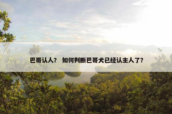 巴哥认人？ 如何判断巴哥犬已经认主人了？