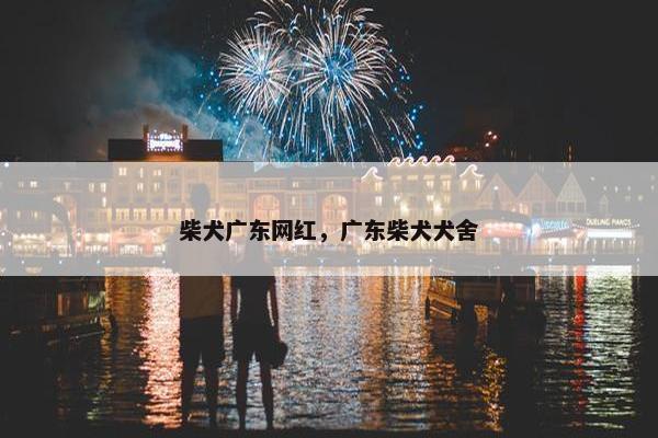 柴犬广东网红，广东柴犬犬舍